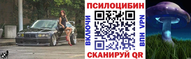 Псилоцибиновые грибы GOLDEN TEACHER  как найти закладки  Судак 